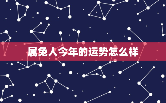 属兔人今年的运势怎么样，属兔的人今年运程怎么样