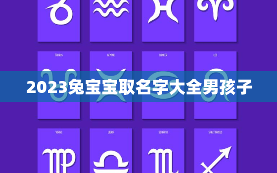 2023兔宝宝取名字大全男孩子，2023兔宝宝取名字大全男孩子两个字