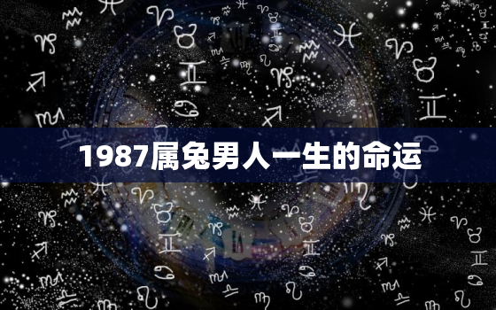 1987属兔男人一生的命运，1987属兔男人一生的命运如何