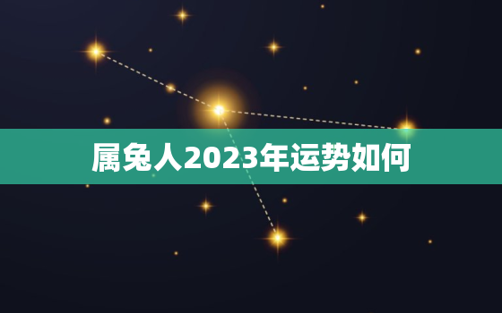 属兔人2023年运势如何，属兔的人2023年运势