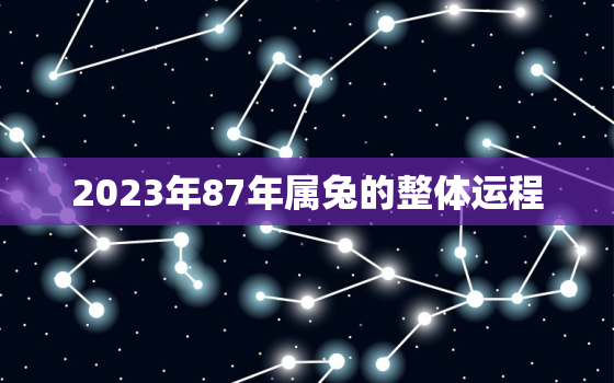 2023年87年属兔的整体运程，87年属兔在2023年的运程