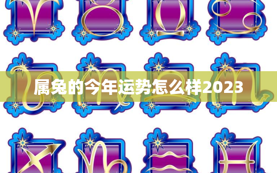 属兔的今年运势怎么样2023，属兔的今年运势怎么样2023年