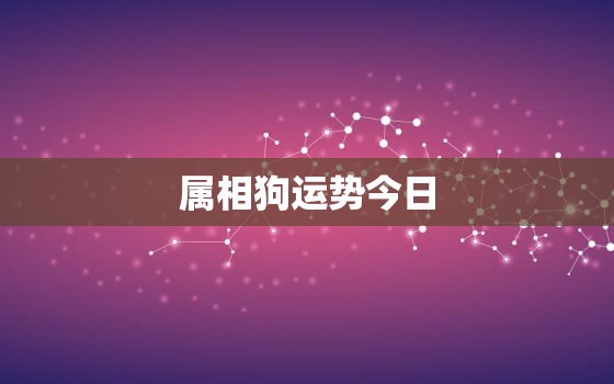 属相狗运势今日，属相狗运势今日运势