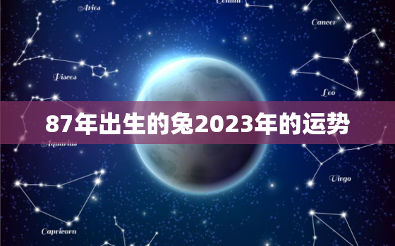 87年出生的兔2023年的运势，87年属兔人2023年运势咋样