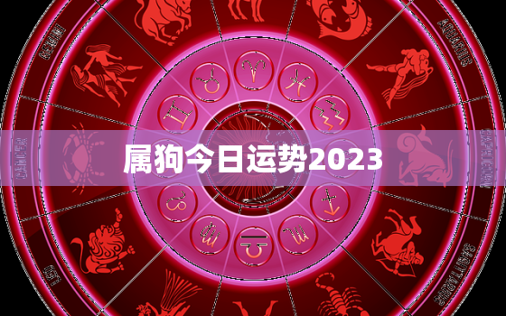 属狗今日运势2023，属狗今日运势36