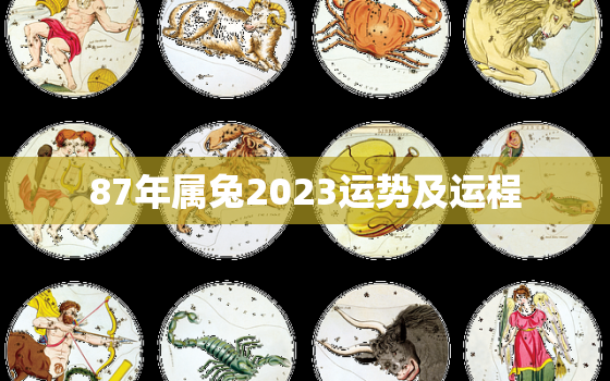 87年属兔2023运势及运程，87年属兔2023年运势怎么样