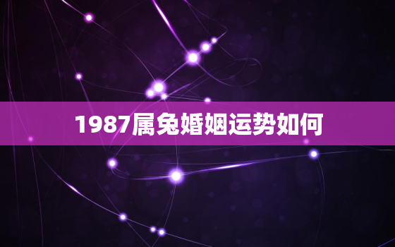 1987属兔婚姻运势如何，1987年属兔的婚姻算命