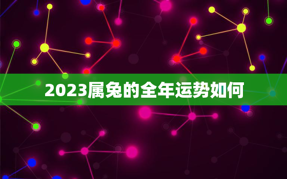 2023属兔的全年运势如何，2023年属兔人的全年运势如何