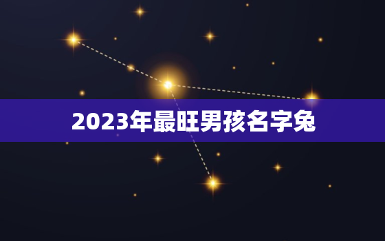 2023年最旺男孩名字兔，2023年最旺男孩名字兔草字头