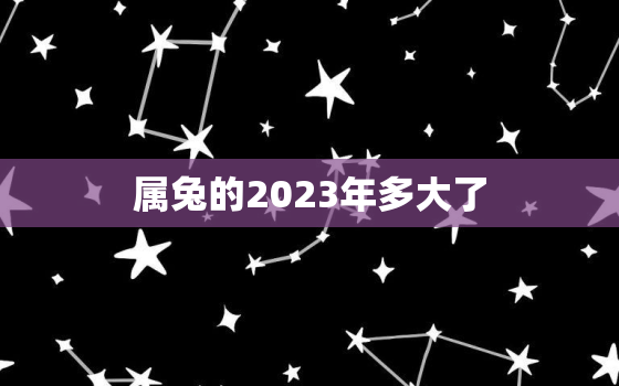 属兔的2023年多大了，属兔2031年多大