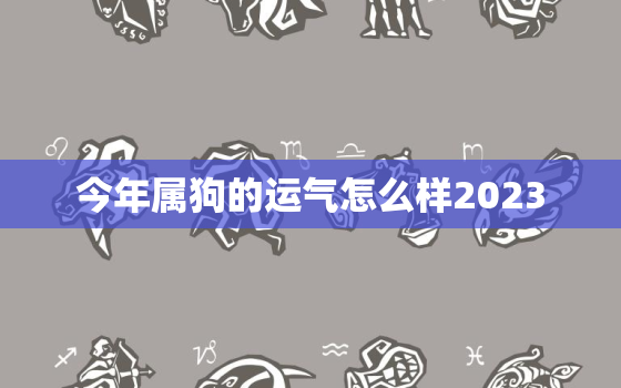 今年属狗的运气怎么样2023，属狗的今年运势怎么样2023