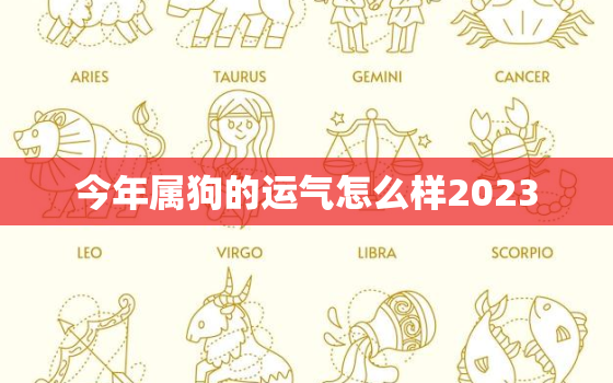 今年属狗的运气怎么样2023，今年属狗的运气怎么样?