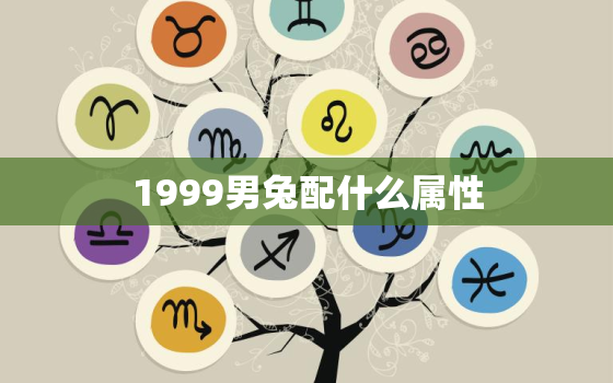 1999男兔配什么属性，1999男兔配什么属性最好