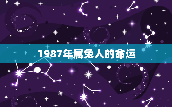 1987年属兔人的命运，1987年属兔人的命运怎么样