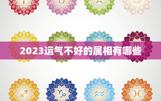 2023运气不好的属相有哪些，2023年运势12生肖运势如何