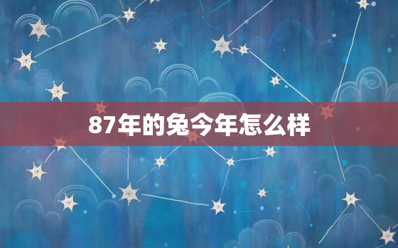 87年的兔今年怎么样，87年的兔今年的运势如何