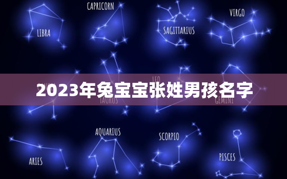 2023年兔宝宝张姓男孩名字，张姓男孩名字属兔