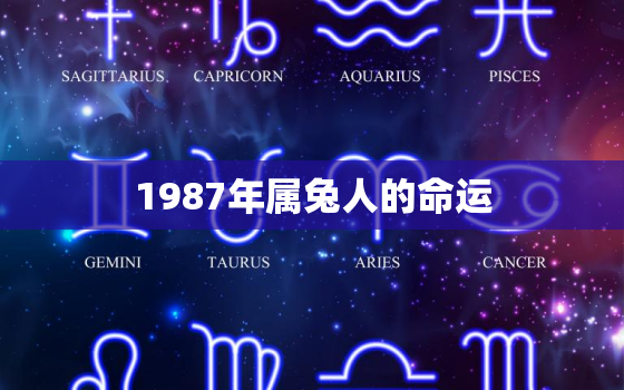 1987年属兔人的命运，1987年属兔人的命运详解