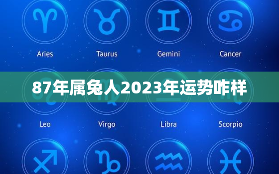 87年属兔人2023年运势咋样，87年的兔2023年运势怎么样