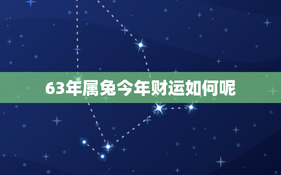 63年属兔今年财运如何呢，63年属兔今年财运如何呢女