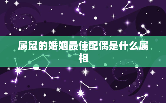 属鼠的婚姻最佳配偶是什么属相，属鼠最佳婚配对象