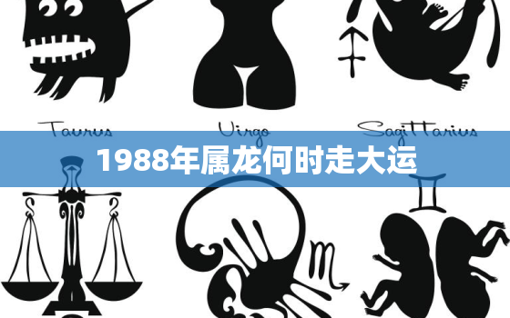 1988年属龙何时走大运，88年属龙人34岁转运大富大贵