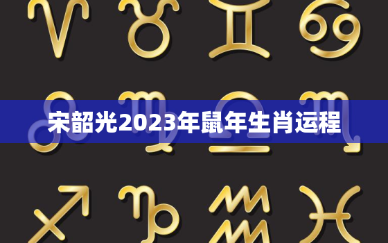 宋韶光2023年鼠年生肖运程，宋韶光2020年生肖鼠年运程每月运势