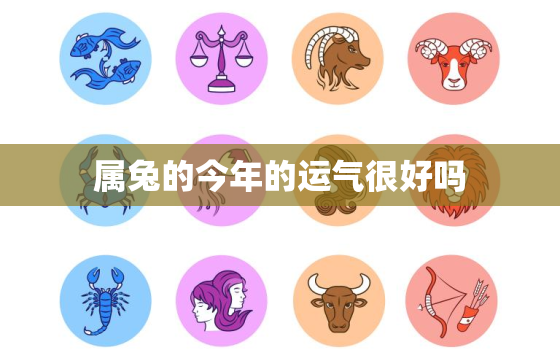 属兔的今年的运气很好吗，属兔的今年的运气很好吗女