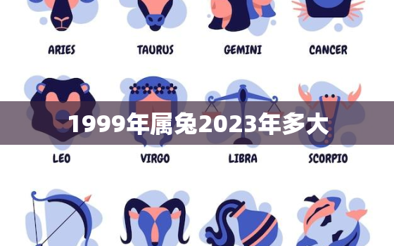 1999年属兔2023年多大，1999年属兔2023年多大了