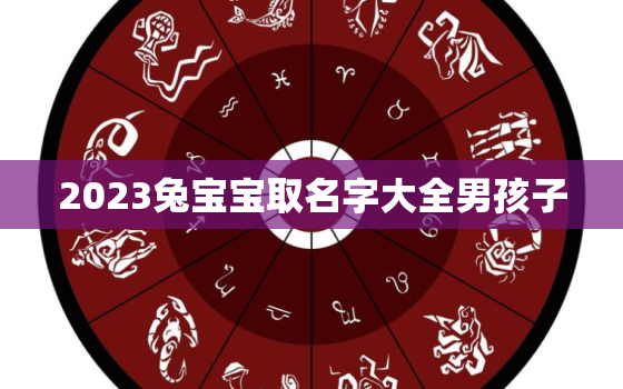 2023兔宝宝取名字大全男孩子，2023兔宝宝取名字大全女孩子