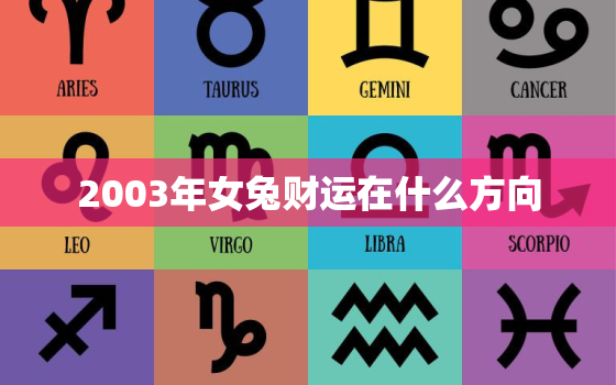 2003年女兔财运在什么方向，03年女2020年运势