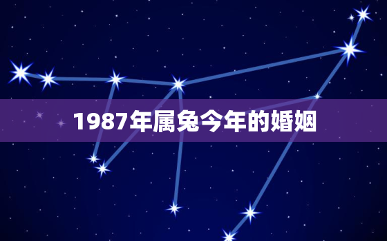 1987年属兔今年的婚姻，1987年属兔今年婚姻好吗