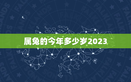 属兔的今年多少岁2023，属兔的今年多少岁2020年