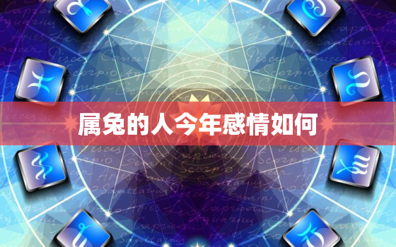 属兔的人今年感情如何，属兔人今年感情方面2021年