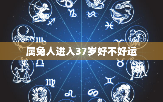 属兔人进入37岁好不好运，属兔人进入37岁好不好运气