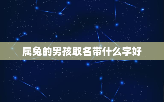 属兔的男孩取名带什么字好，属兔的男孩取名字宜忌