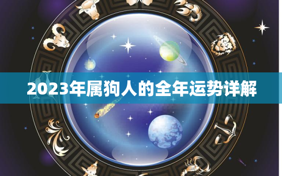 2023年属狗人的全年运势详解，2023年属狗人的全年运势详解
