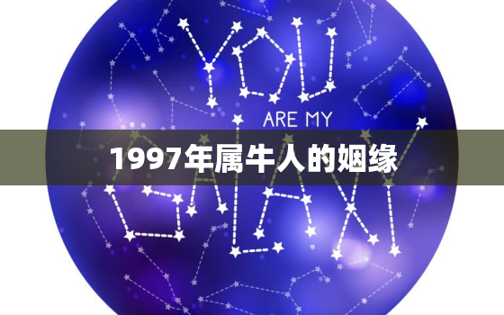 1997年属牛人的姻缘，1997年属牛人的姻缘如何