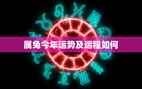 属兔今年运势及运程如何，属兔今年运势2022年运势