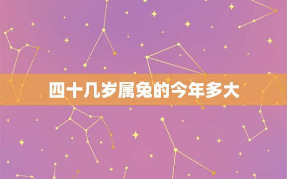 四十几岁属兔的今年多大，属兔的今年四十几岁了