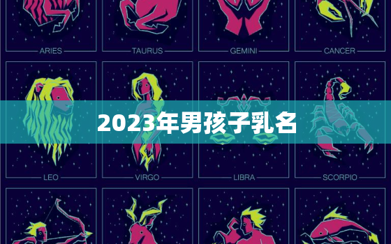 2023年男孩子乳名，2030年男孩名字