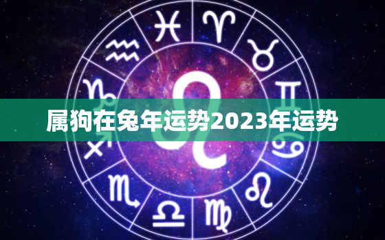 属狗在兔年运势2023年运势，狗年属兔的运势