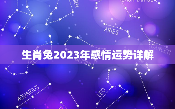 生肖兔2023年感情运势详解，生肖兔2023年运势及每月运势