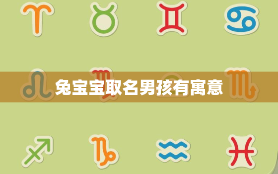 兔宝宝取名男孩有寓意，兔宝宝名字寓意好字