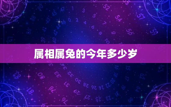 属相属兔的今年多少岁，属兔的今年多大岁了