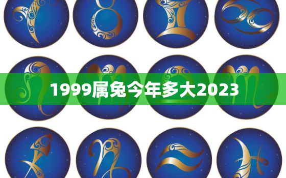 1999属兔今年多大2023，1999属兔今年多大2021