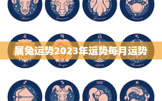 属兔运势2023年运势每月运势，属兔人2023年运势运程