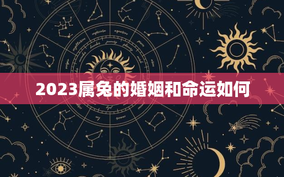 2023属兔的婚姻和命运如何，2023年属兔的命运怎么样