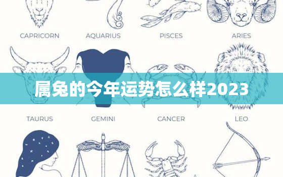 属兔的今年运势怎么样2023，属兔的今年运势怎么样2023年运程