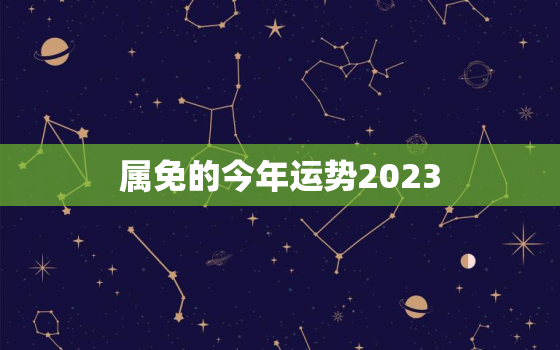 属免的今年运势2023，属免2o21年运势